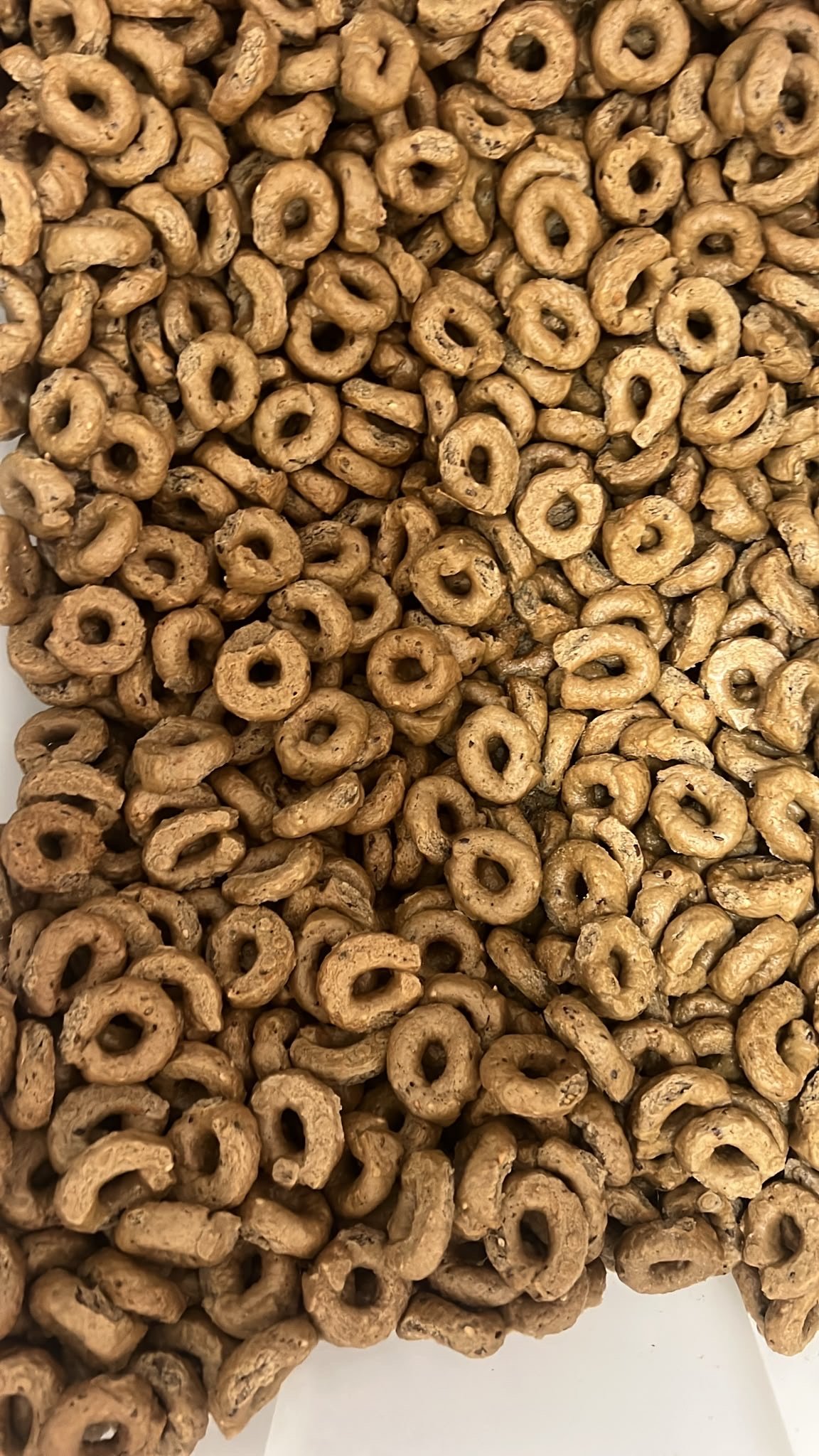 Taralli artigianali Tabì, fragranti e dorati